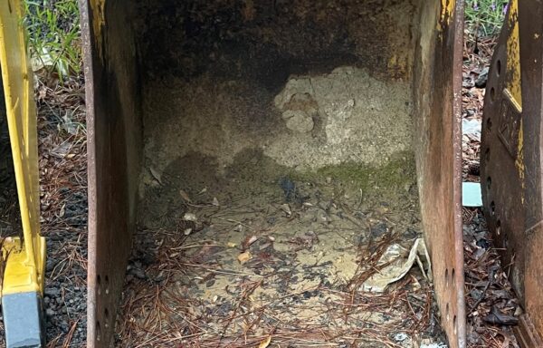 CAT 36″ Digging Bucket w/pins