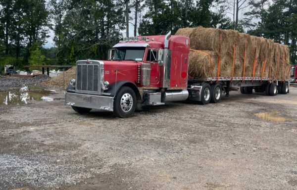 2000 Peterbilt 379 EXHD $68,000.00